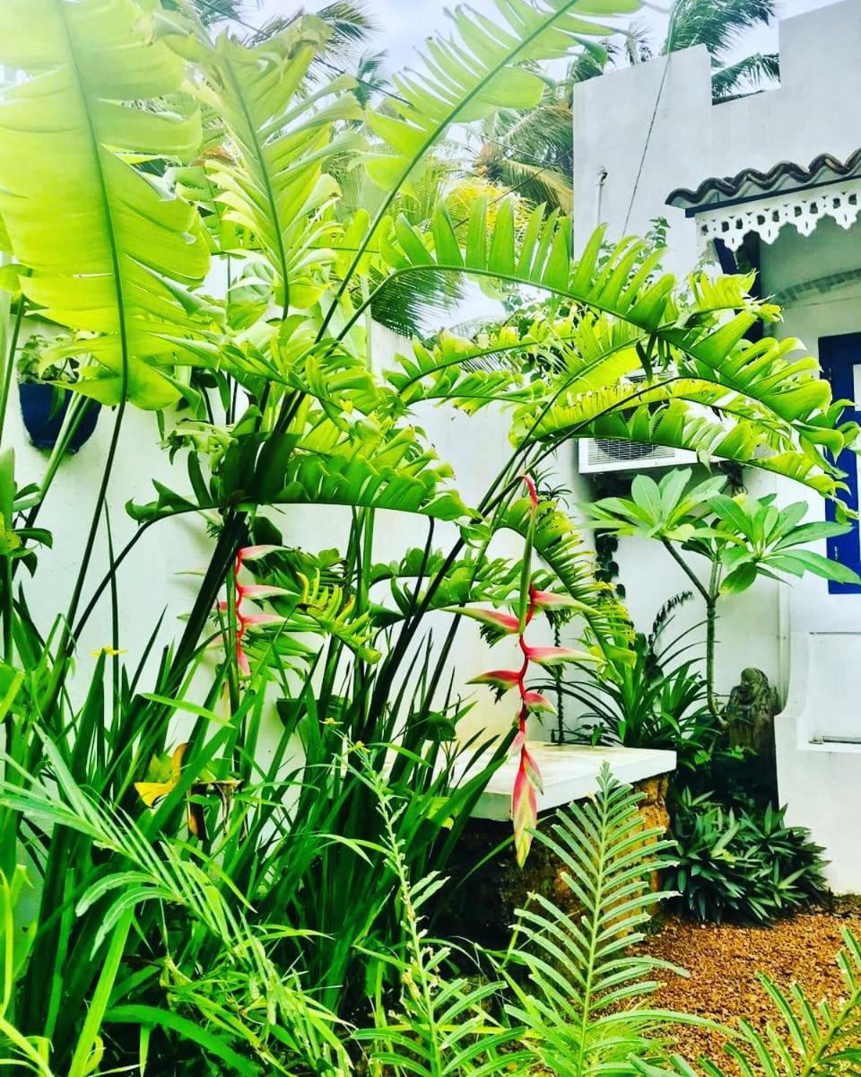 Sriyan Villa Beruwala Eksteriør bilde